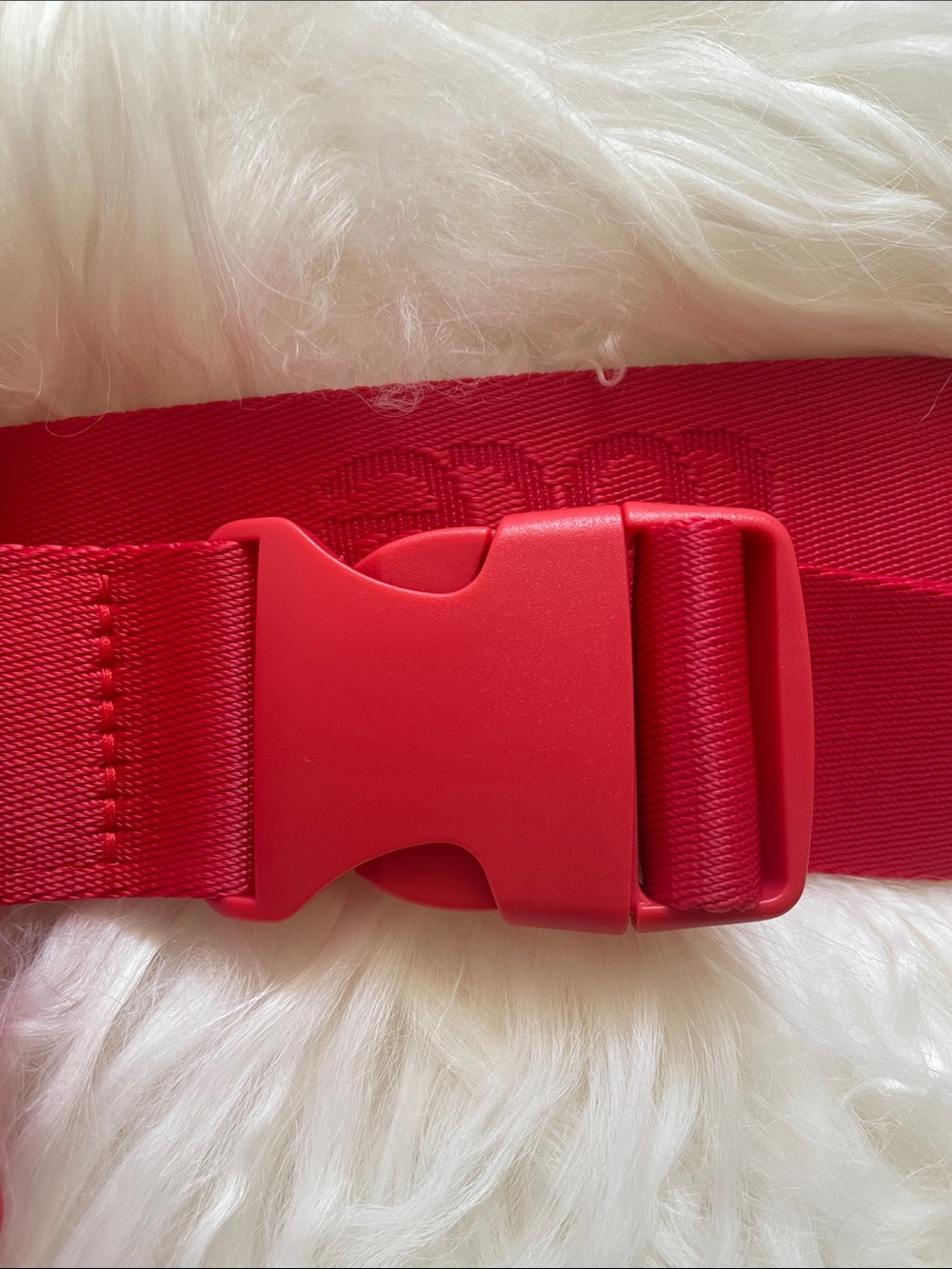 ❤️LOLE Belt Bag Crossbody - Picture 11 of 12
